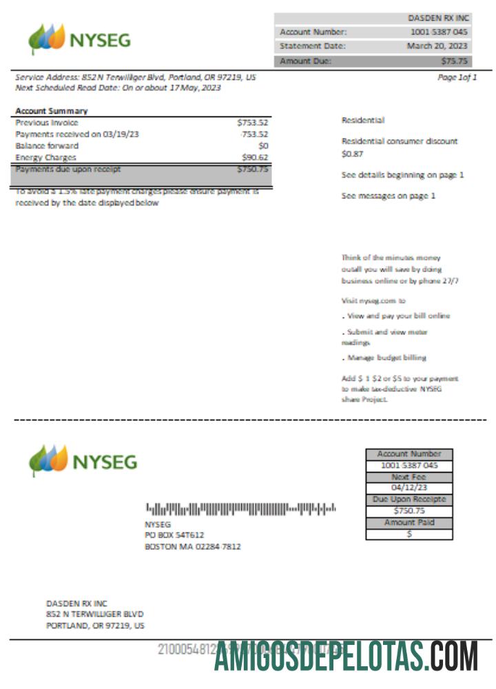 Projeto de lei de serviços públicos de eletricidade da Boston NYSEG, SCR modelo